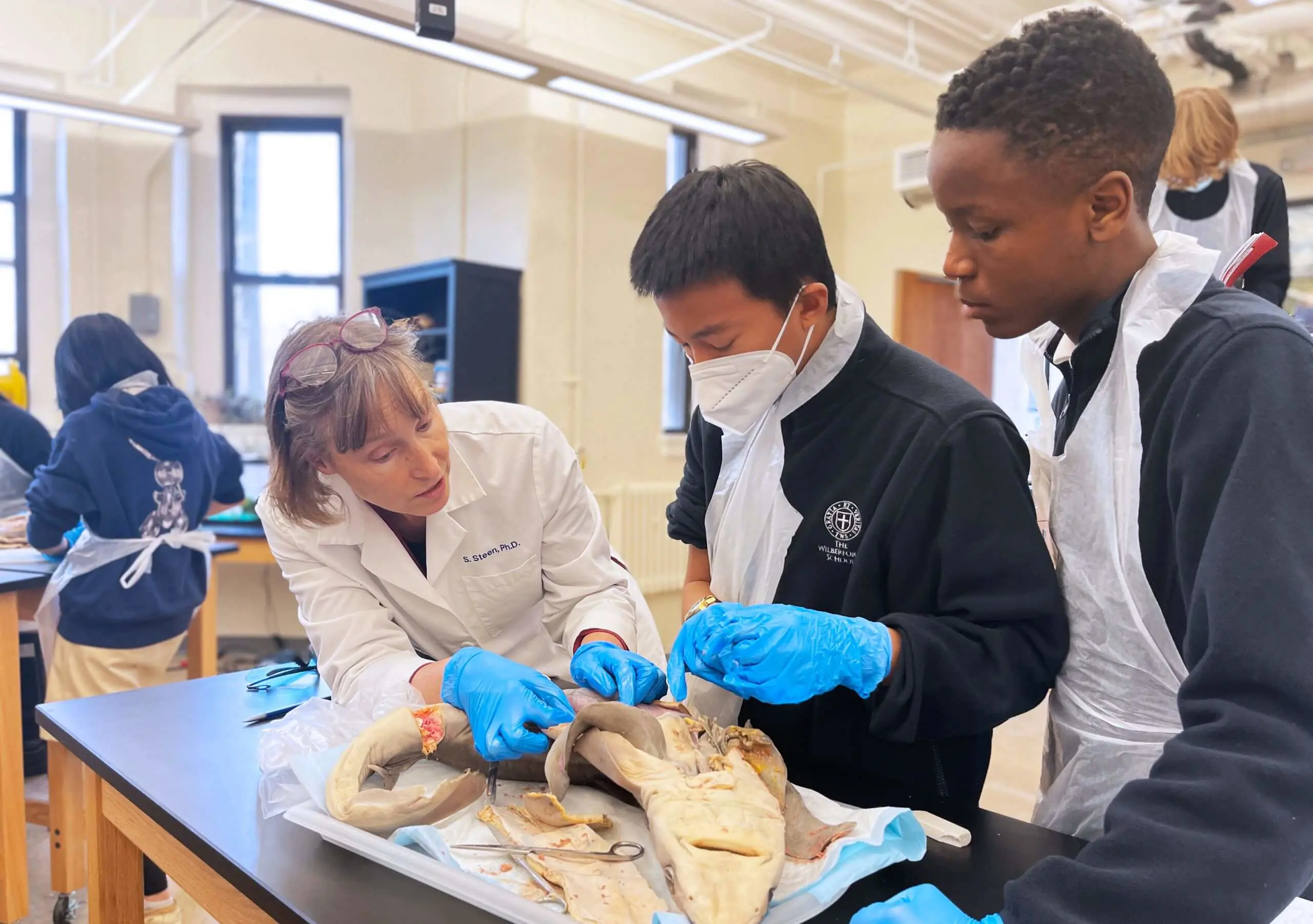 Teacher and students dissecting a shark in a science class.