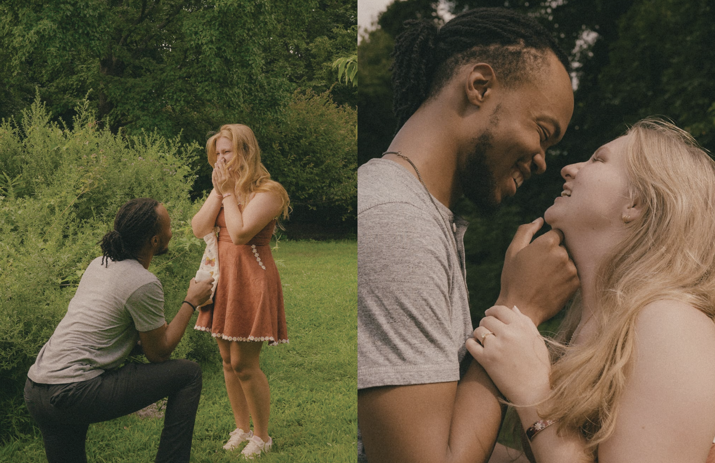 OriginalImage,,,Original