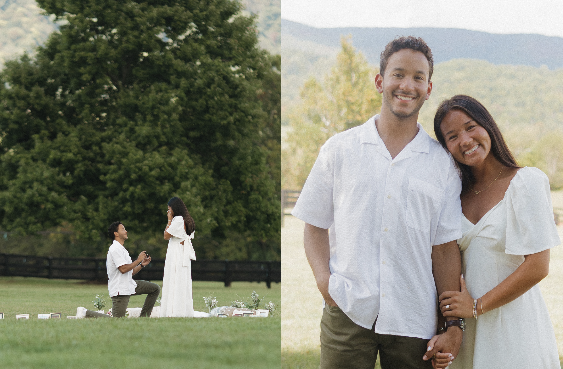 OriginalImage,,,Original