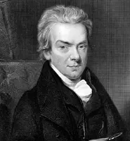 OptimizedImage,,,Optimized