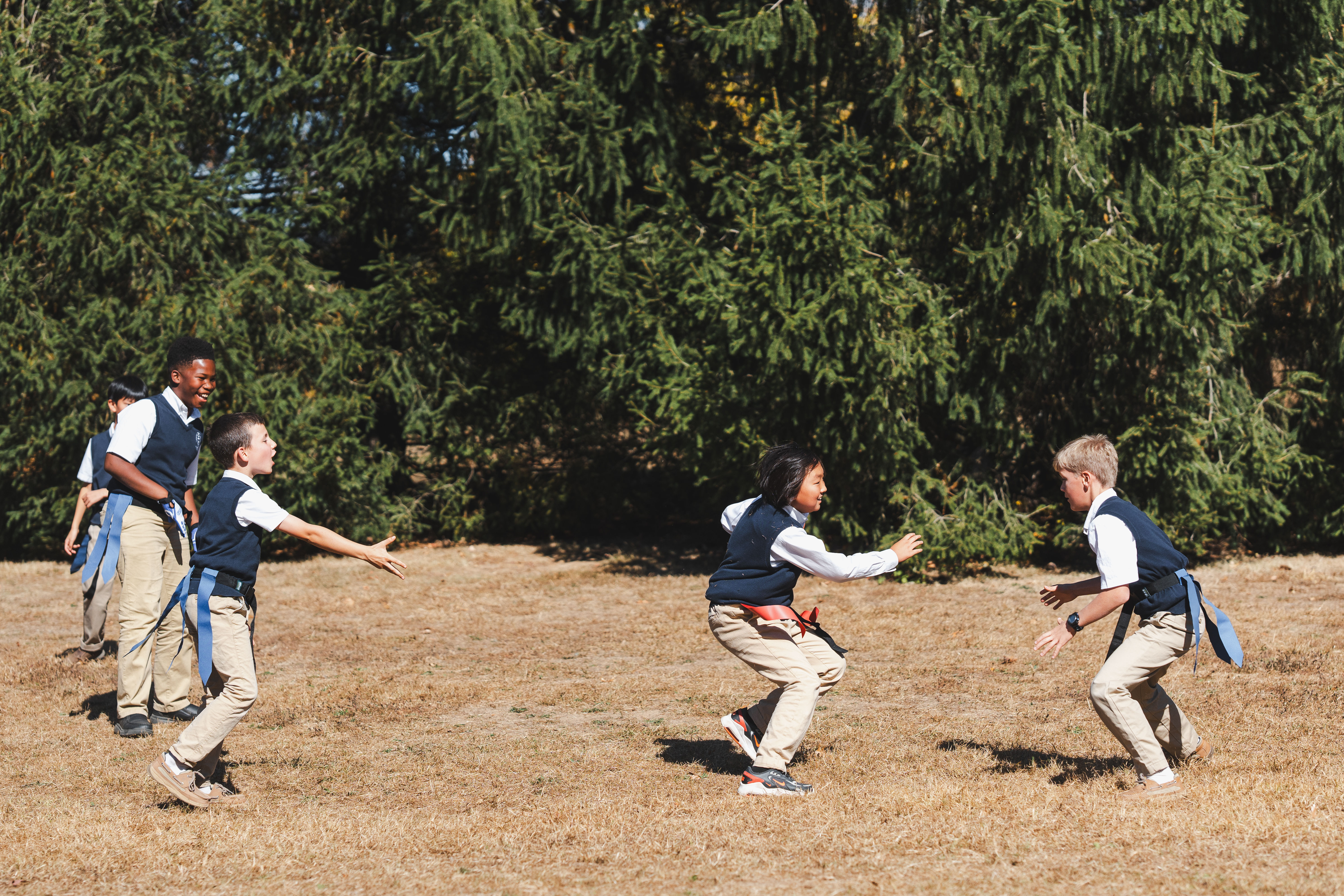 OriginalImage,,,Original