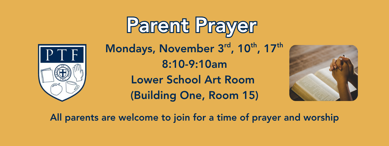 OriginalImage,,,Original