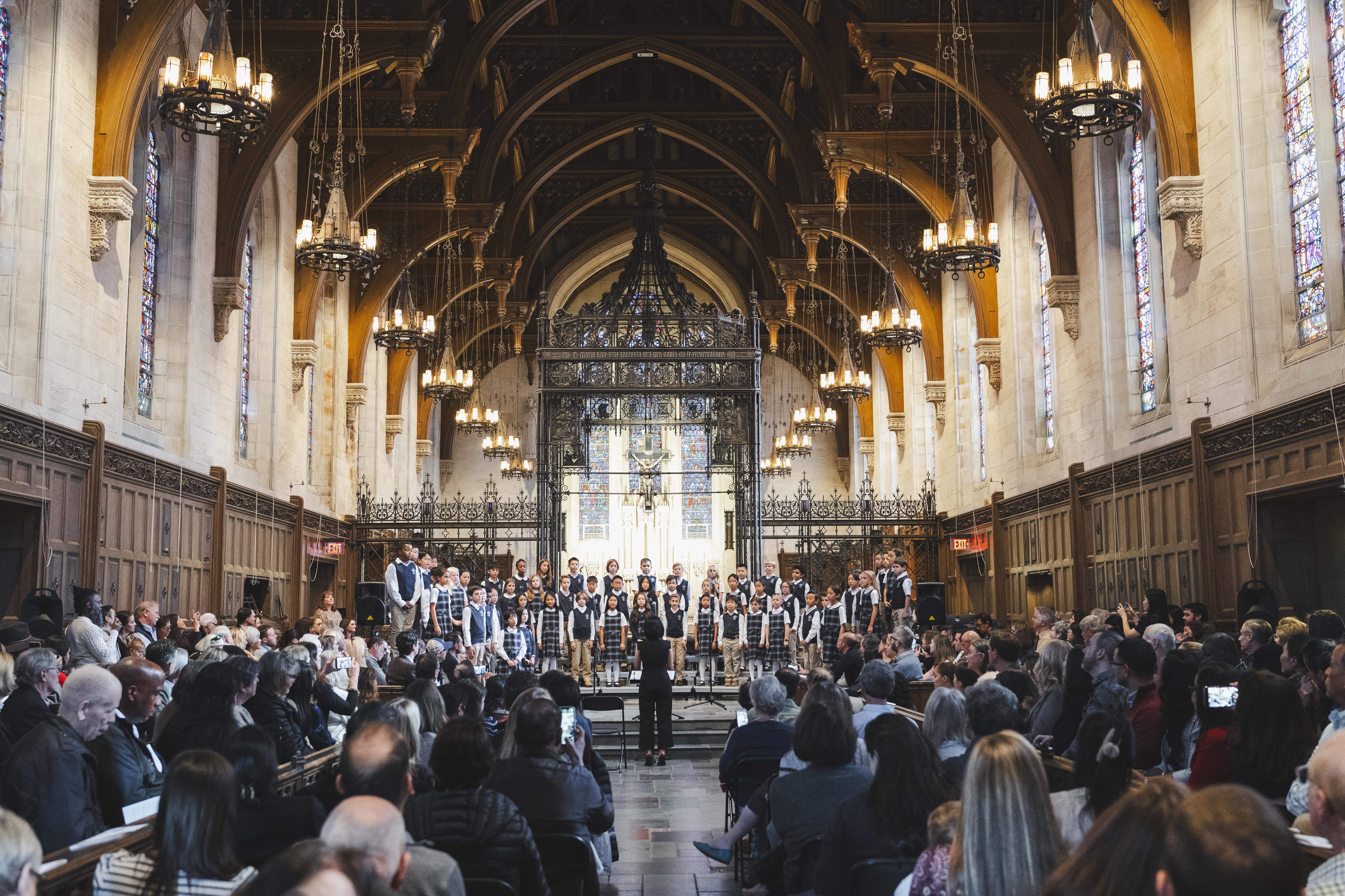  OptimizedImage,,,Optimized